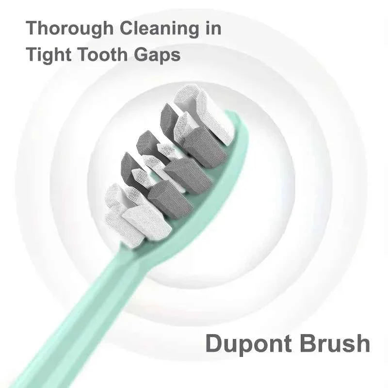 Electric Toothbrush Rotary Cleaning Teeth Brush Waterproof Electronic Tooth Brush With Timer USB Rechargeable Toothbrush 10 head