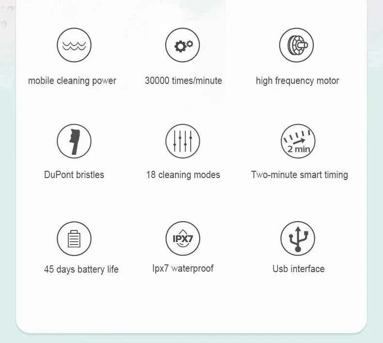 Xiaomi Youpin Sonic Electric Toothbrush USB Fast Charging Toothbrush Smart Timer Rechargeable Toothbrushes Replacement Heads Set