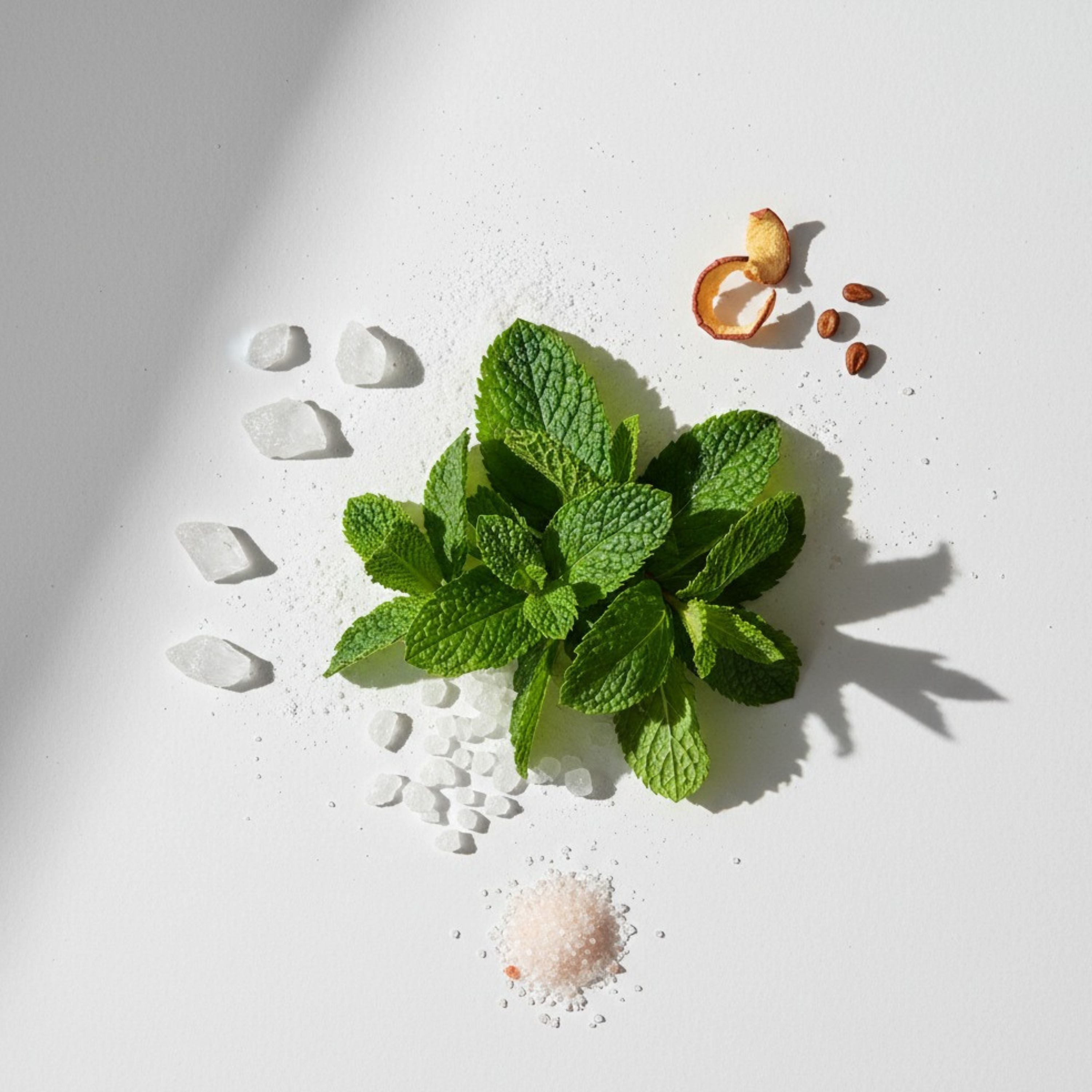Fluoride-Free Cool Mint Toothpaste Tablets — 4 Months